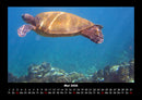 Meereslandschaften Fotokalender 2026 - 5