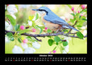 Vogelparadies Fotokalender 2026 - 10