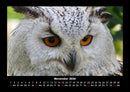 Vogelparadies Fotokalender 2026 - 11
