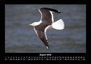 Vogelparadies Fotokalender 2026 - 8
