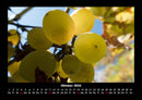 Obstkalender Fotokalender 2026 - 10