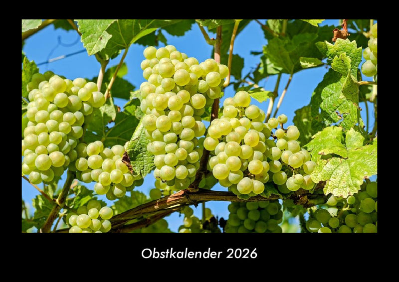 Obstkalender Fotokalender 2026 - Hauptbild