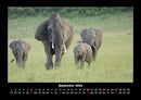 Elefanten - Die sanften Riesen Afrikas Fotokalender 2026 - 9