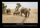 Elefanten - Die sanften Riesen Afrikas Fotokalender 2026 - 11