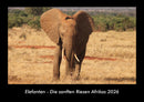 Elefanten - Die sanften Riesen Afrikas Fotokalender 2026 - Hauptbild