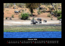 Elefanten - Die sanften Riesen Afrikas Fotokalender 2026 - 2