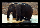 Elefanten - Die sanften Riesen Afrikas Fotokalender 2026 - 8