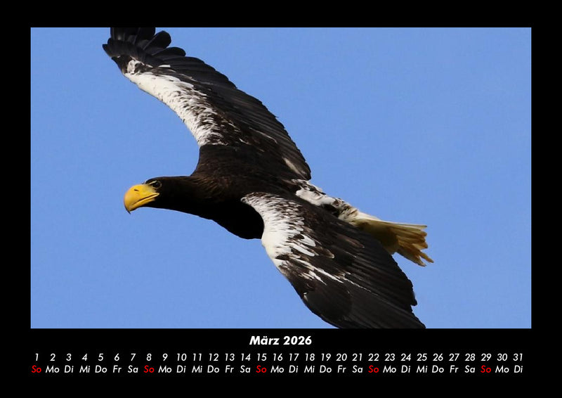 Adler Fotokalender 2026 - 3