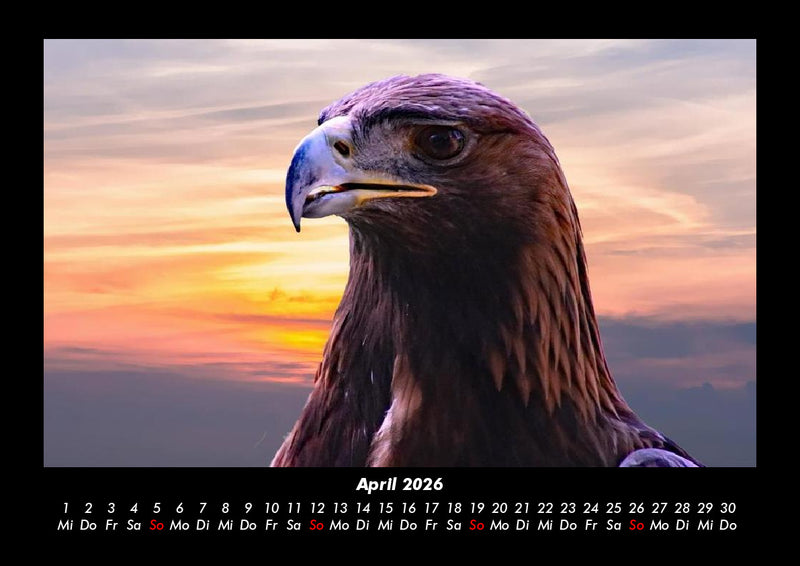 Adler Fotokalender 2026 - 4