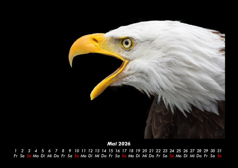 Adler Fotokalender 2026 - 5
