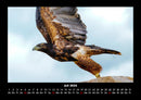 Adler Fotokalender 2026 - 7