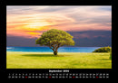 Bäume Fotokalender 2026 - 9