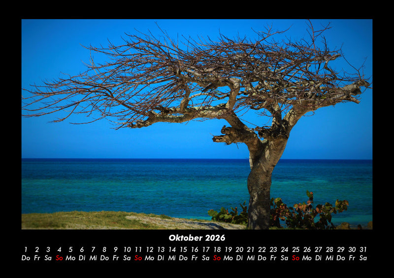 Bäume Fotokalender 2026 - 10