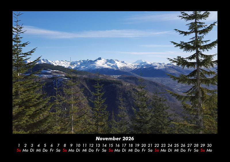 Bäume Fotokalender 2026 - 11
