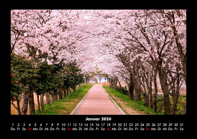 Bäume Fotokalender 2026 - 1