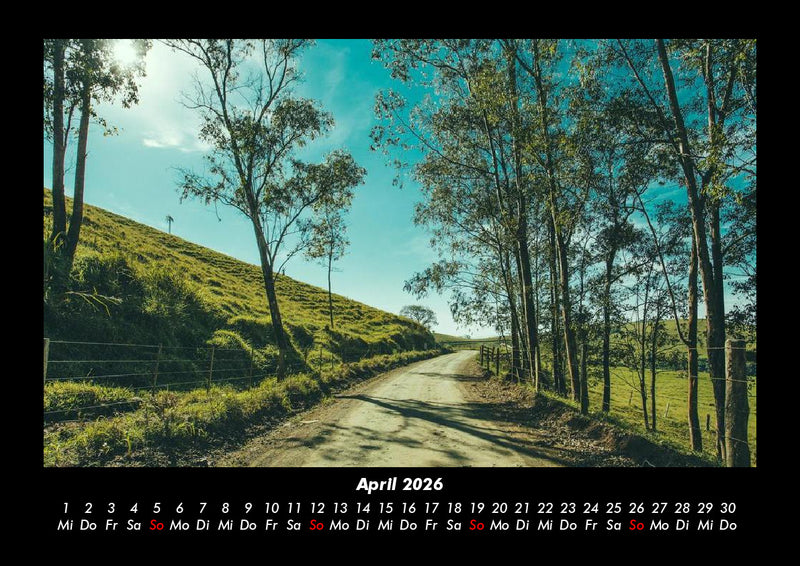 Bäume Fotokalender 2026 - 4