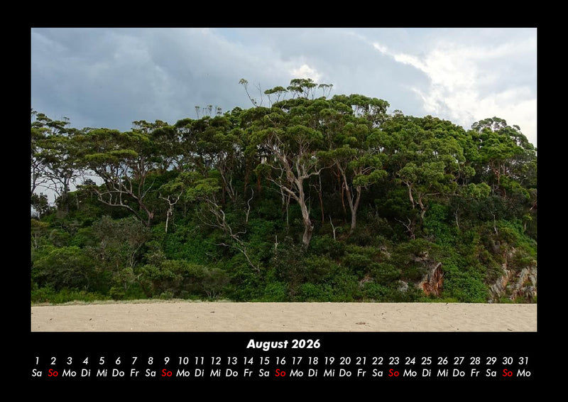 Bäume Fotokalender 2026 - 8