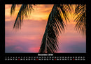 Palmentraum Fotokalender 2026 - 12