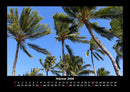 Palmentraum Fotokalender 2026 - 2