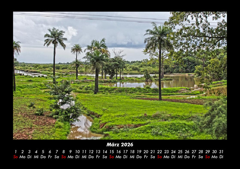 Palmentraum Fotokalender 2026 - 3