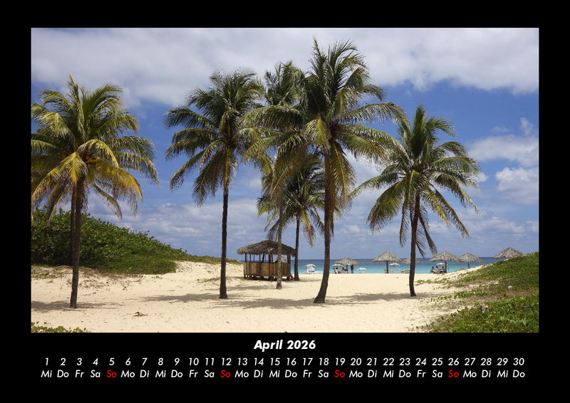 Palmentraum Fotokalender 2026 - 4