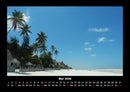 Palmentraum Fotokalender 2026 - 5