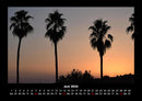 Palmentraum Fotokalender 2026 - 6
