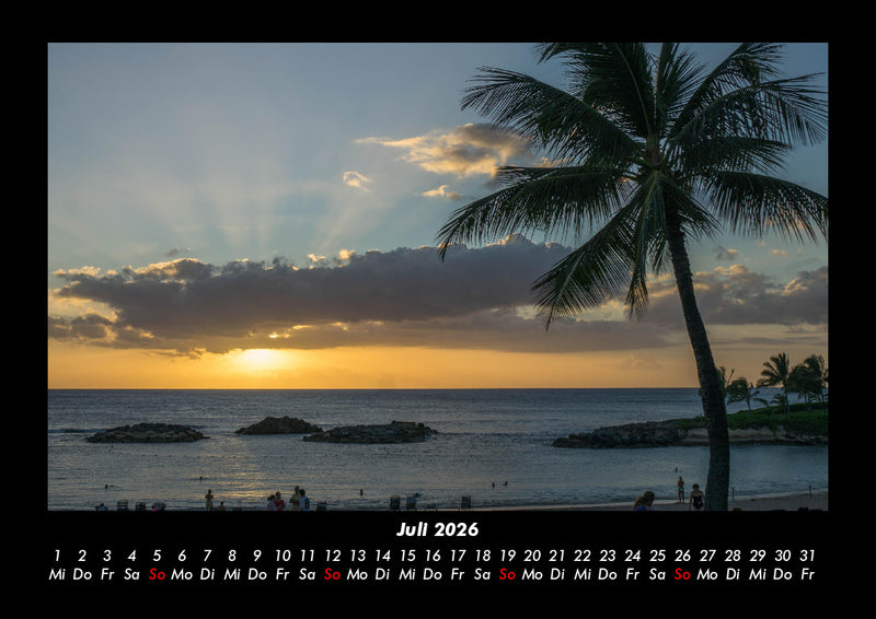 Palmentraum Fotokalender 2026 - 7