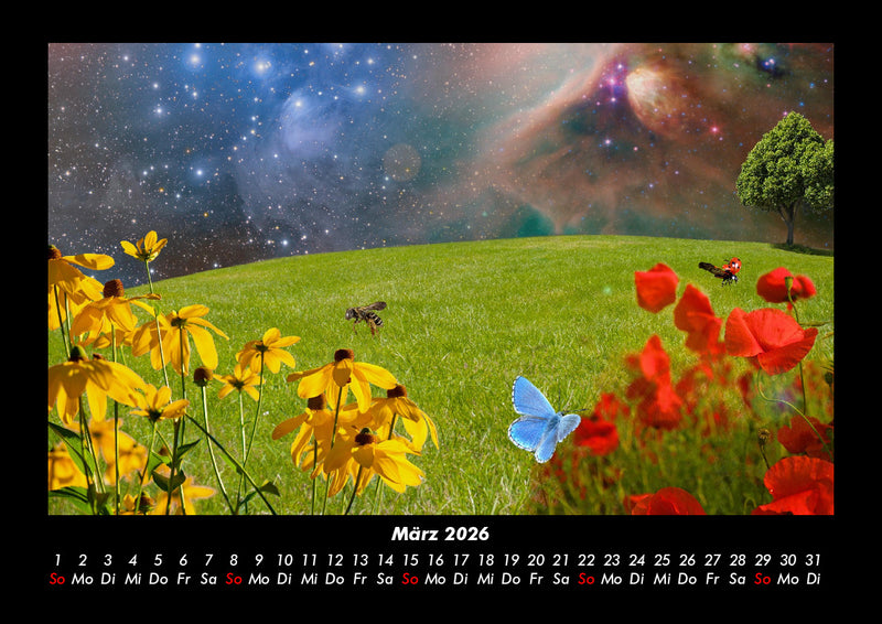 Blumenträume Fotokalender 2026 - 3