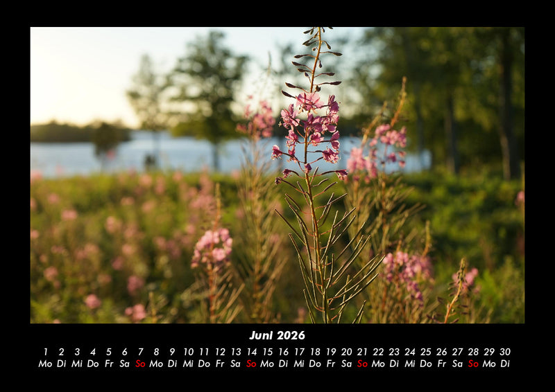 Blumenträume Fotokalender 2026 - 6