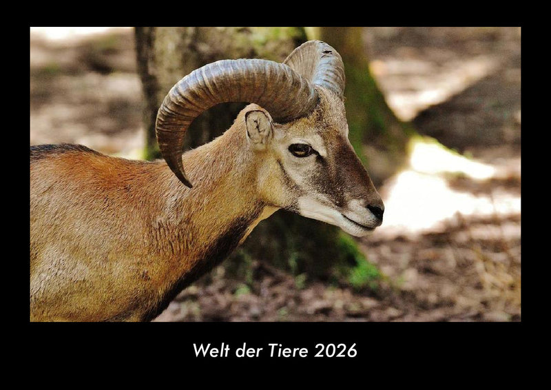 Welt der Tiere Fotokalender 2026 - Hauptbild