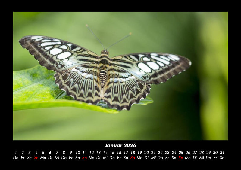 Welt der Tiere Fotokalender 2026 - 1
