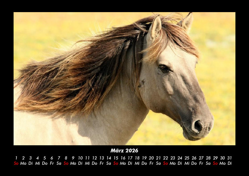 Welt der Tiere Fotokalender 2026 - 3
