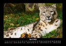 Welt der Tiere Fotokalender 2026 - 4