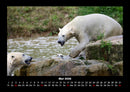 Welt der Tiere Fotokalender 2026 - 5