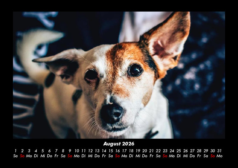 Welt der Tiere Fotokalender 2026 - 8