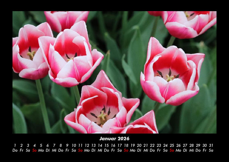 Natur Fotokalender 2026 - 1
