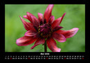 Natur Fotokalender 2026 - 5