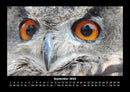 Vogelparadies Fotokalender 2026 - 9