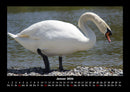 Vogelparadies Fotokalender 2026 - 1