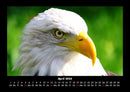 Vogelparadies Fotokalender 2026 - 4