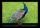 Vogelparadies Fotokalender 2026 - 5