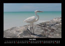 Vogelparadies Fotokalender 2026 - 6