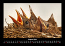 Vogelparadies Fotokalender 2026 - 8