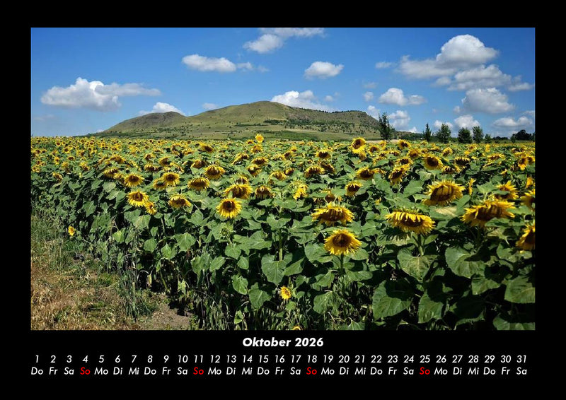 Blumenträume Fotokalender 2026 - 10