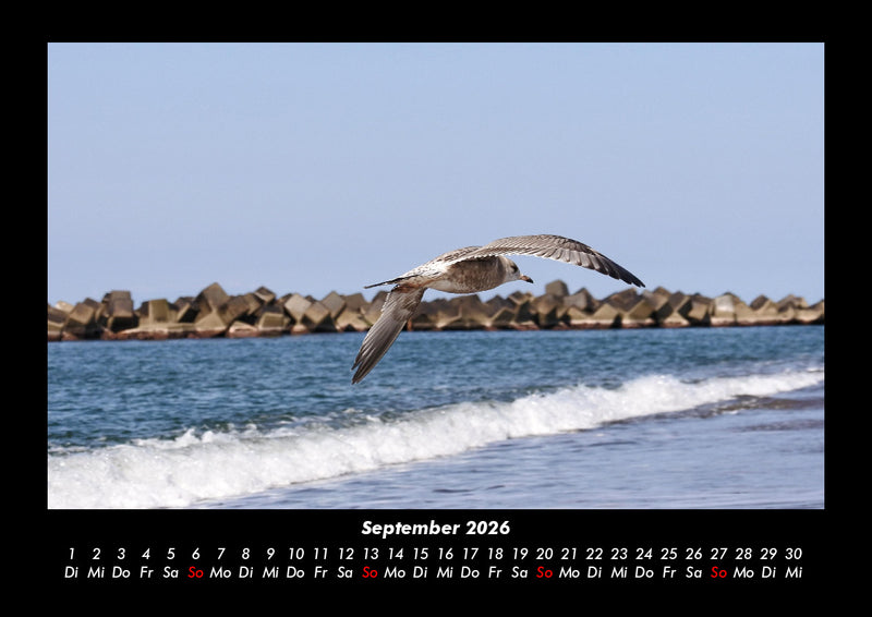 Strände der Welt Fotokalender 2026 - 9