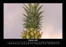 Obstkalender Fotokalender 2026 - 2