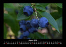 Obstkalender Fotokalender 2026 - 8