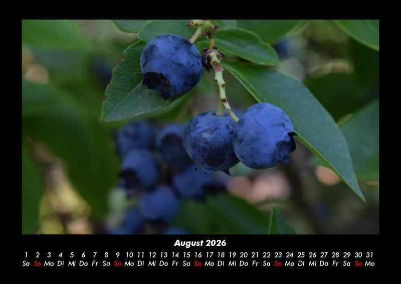 Obstkalender Fotokalender 2026 - 8