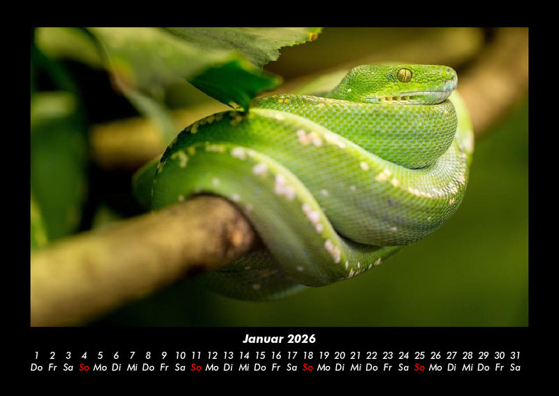 Welt der Tiere Fotokalender 2026 - 1